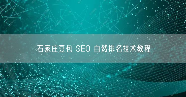 石家庄豆包 SEO 自然排名技术教程