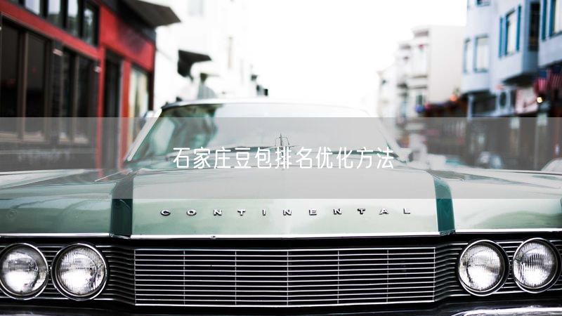 石家庄豆包排名优化方法