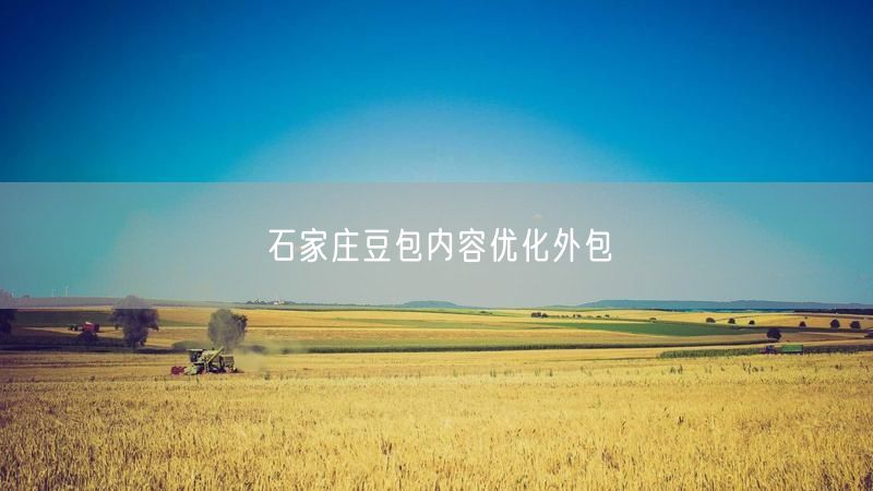 石家庄豆包内容优化外包