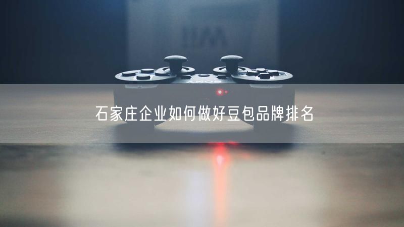 石家庄企业如何做好豆包品牌排名