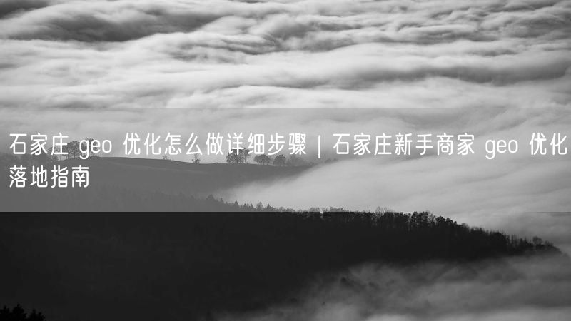 石家庄 geo 优化怎么做详细步骤|石家庄新手商家 geo 优化落地指南