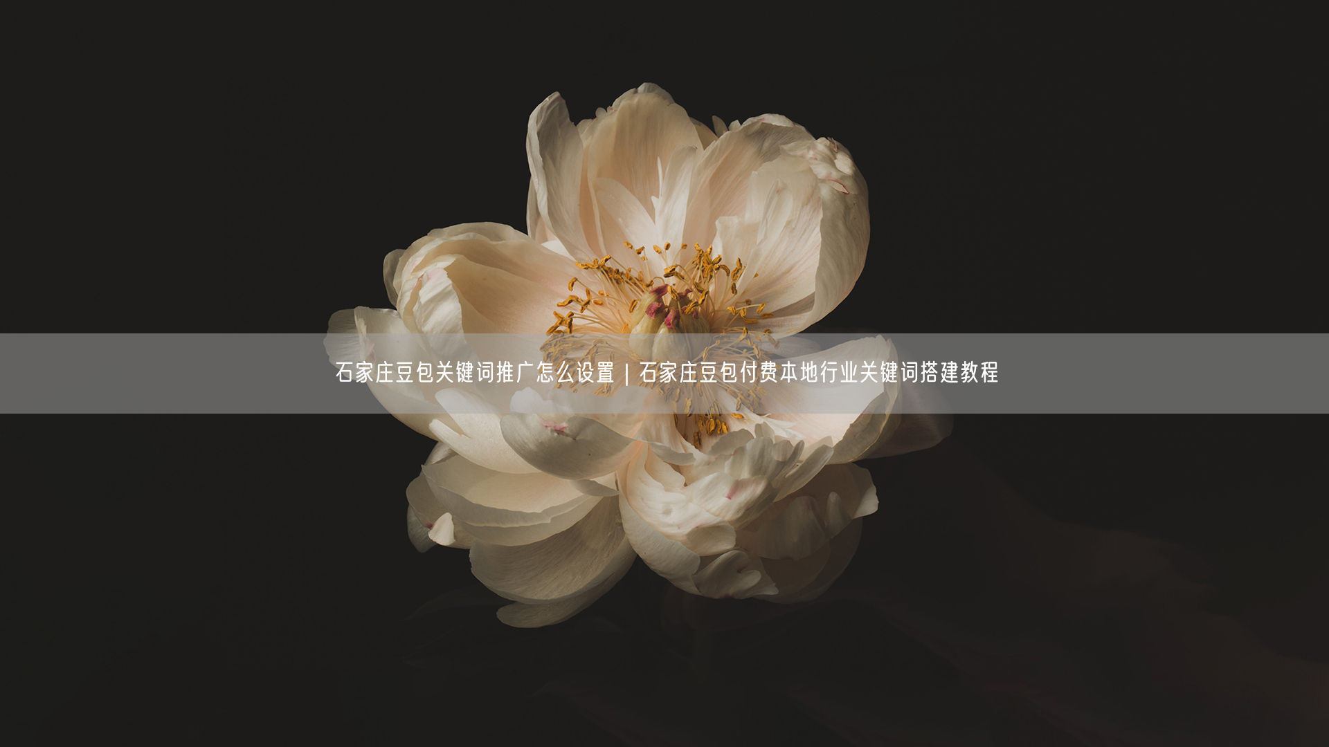 石家庄豆包关键词推广怎么设置｜石家庄豆包付费本地行业关键词搭建教程