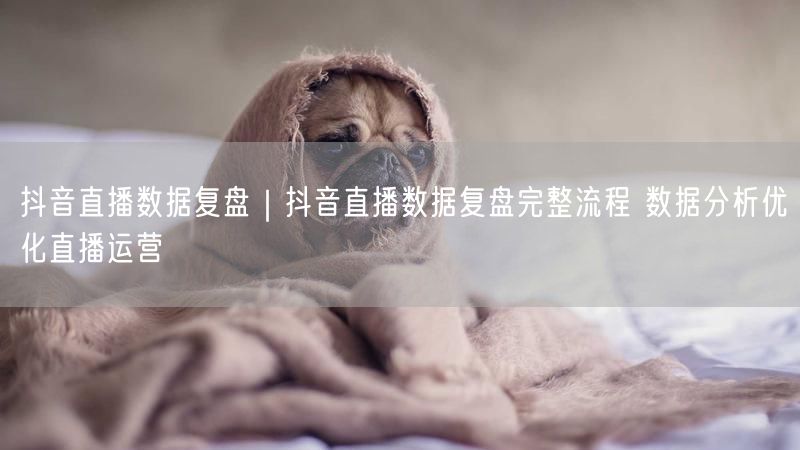 抖音直播数据复盘|抖音直播数据复盘完整流程 数据分析优化直播运营