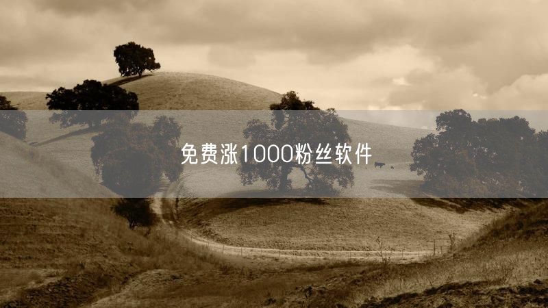 免费涨粉软件揭秘：快速涨粉背后的真相与风险