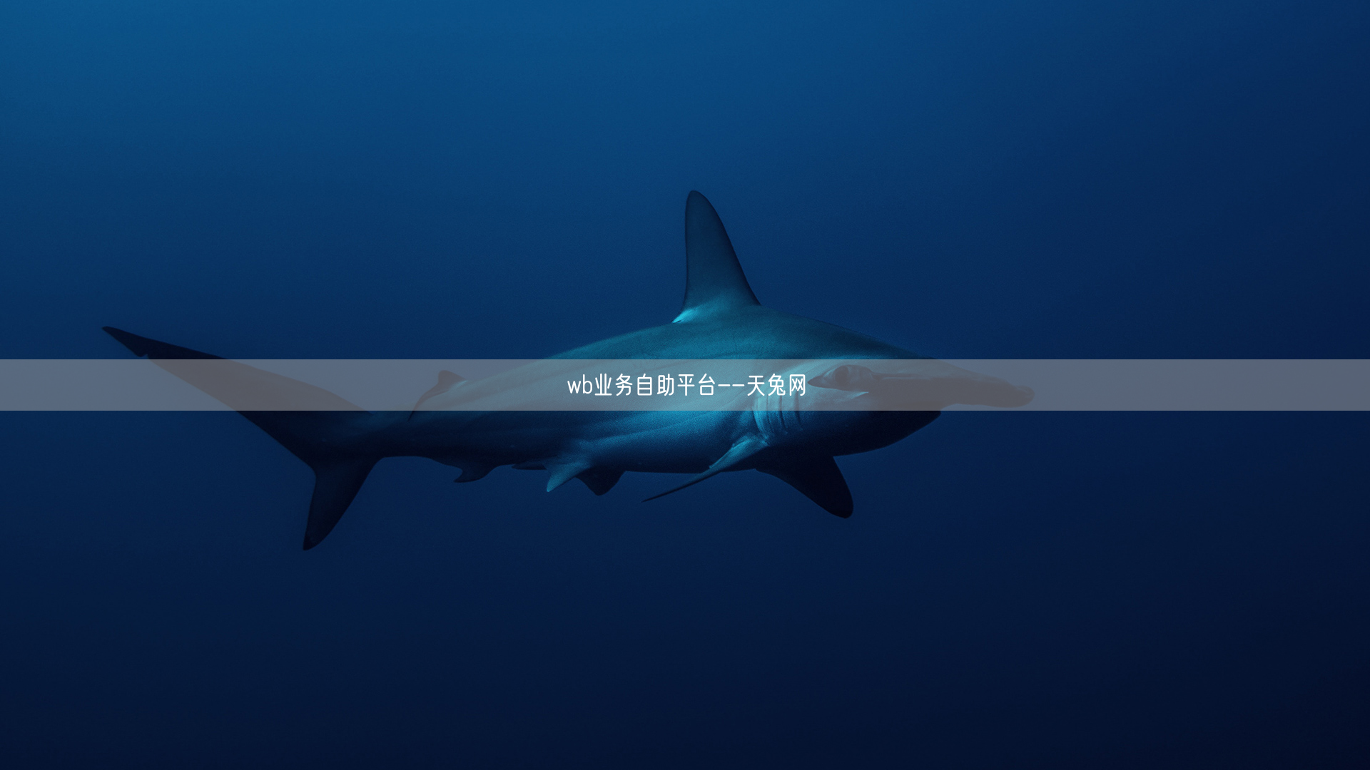 wb业务自助平台--天兔网