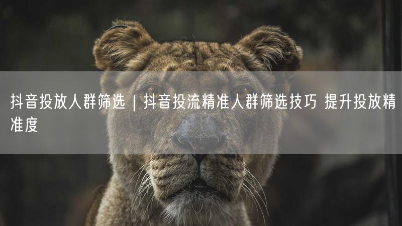 抖音投放人群筛选｜抖音投流精准人群筛选技巧 提升投放精准度