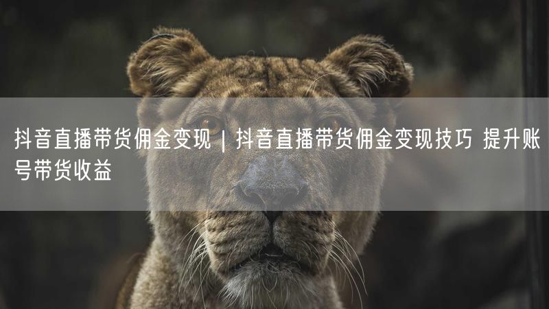 抖音直播带货佣金变现｜抖音直播带货佣金变现技巧 提升账号带货收益