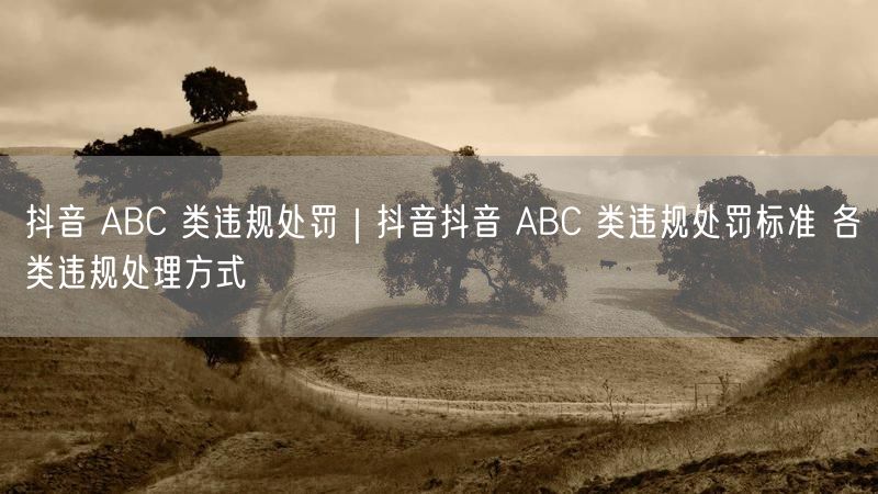 天兔网--抖音抖音 ABC 类违规处罚标准 各类违规处理方式
