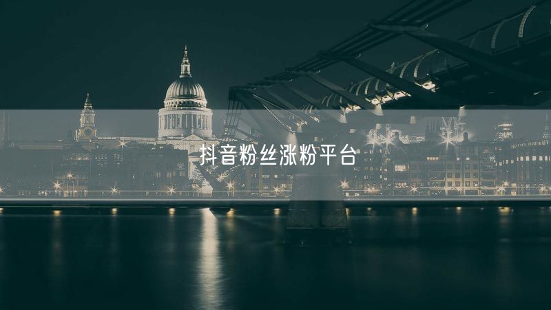 抖音粉丝涨粉平台