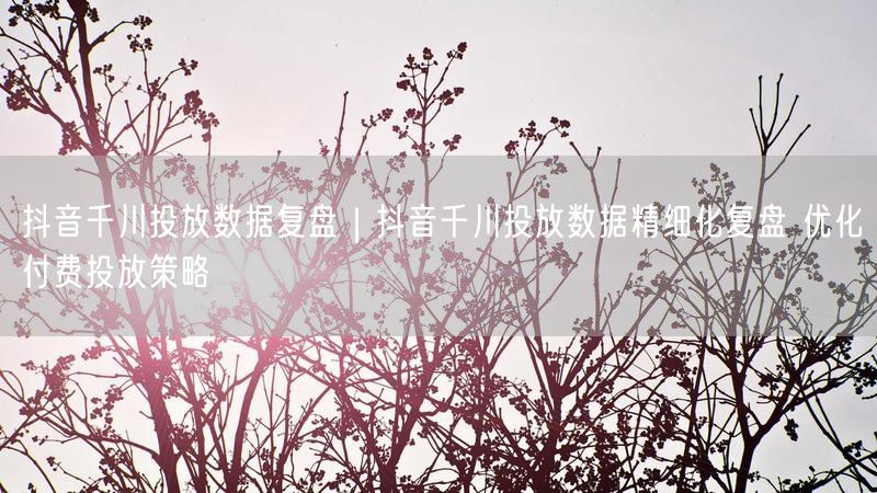 抖音千川投放数据复盘｜抖音千川投放数据精细化复盘 优化付费投放策略