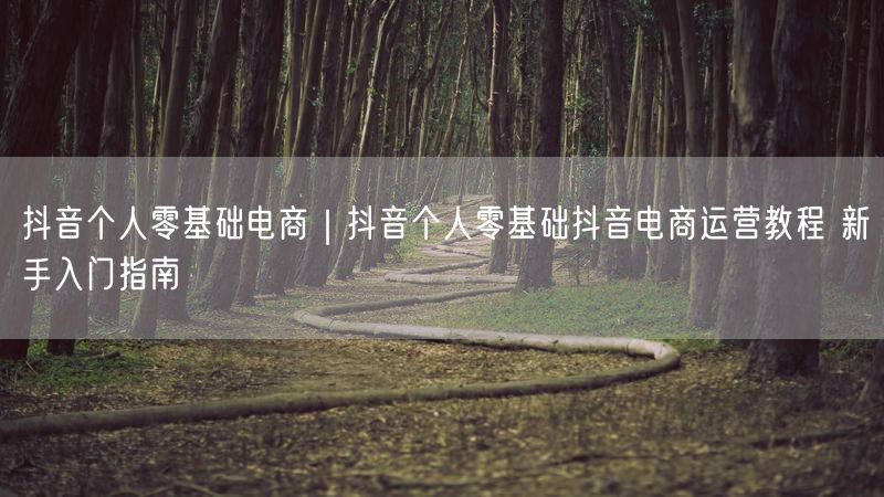 抖音个人零基础电商｜抖音个人零基础抖音电商运营教程 新手入门指南
