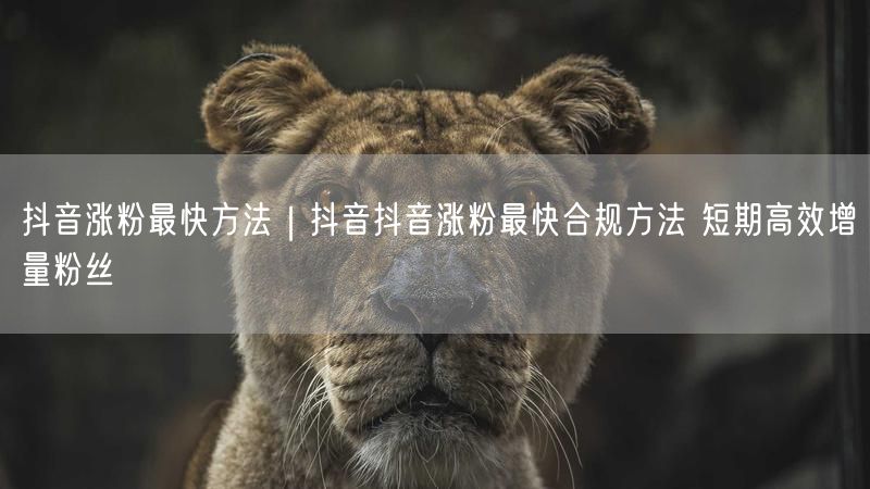 抖音涨粉最快方法｜抖音抖音涨粉最快合规方法 短期高效增量粉丝