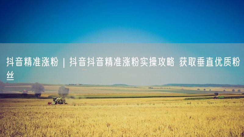 抖音精准涨粉｜抖音抖音精准涨粉实操攻略 获取垂直优质粉丝