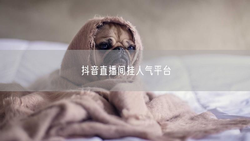 抖音直播间挂人气平台