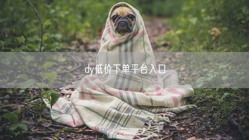 dy低价下单平台入口