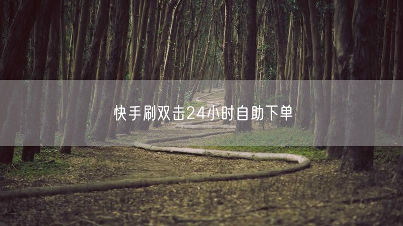 快手刷双击24小时自助下单