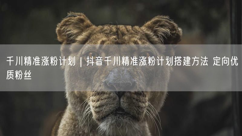 千川精准涨粉计划｜抖音千川精准涨粉计划搭建方法 定向优质粉丝