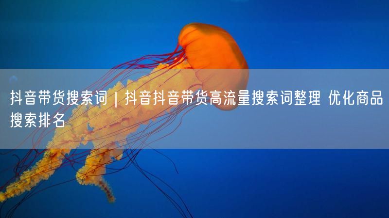 抖音带货搜索词｜抖音抖音带货高流量搜索词整理 优化商品搜索排名