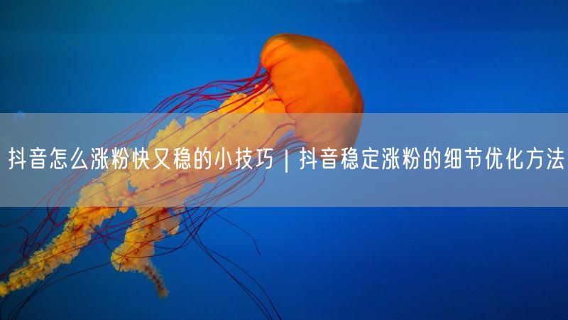 抖音怎么涨粉快又稳的小技巧｜抖音稳定涨粉的细节优化方法