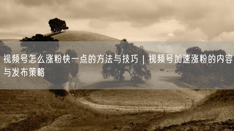视频号怎么涨粉快一点的方法与技巧｜视频号加速涨粉的内容与发布策略