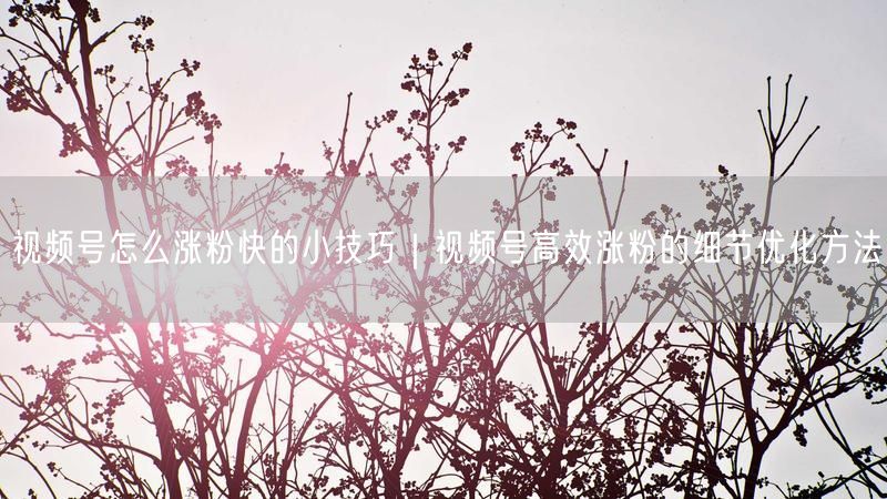 视频号怎么涨粉快的小技巧｜视频号高效涨粉的细节优化方法