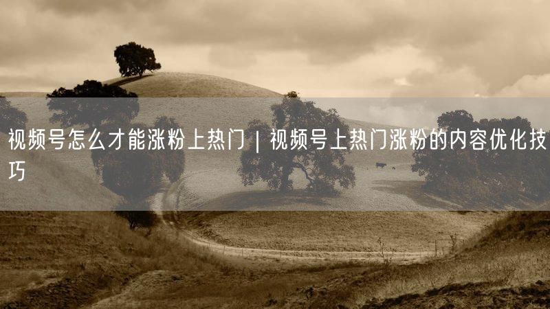 视频号怎么才能涨粉上热门｜视频号上热门涨粉的内容优化技巧
