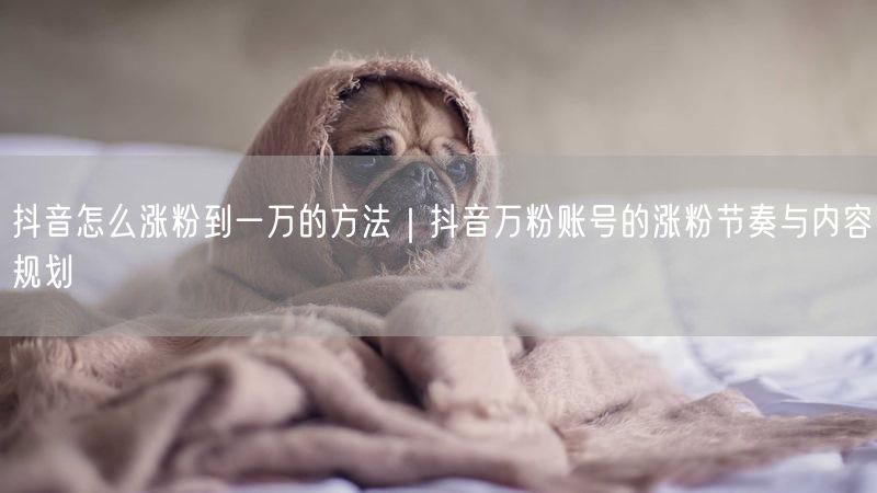 抖音怎么涨粉到一万的方法｜抖音万粉账号的涨粉节奏与内容规划