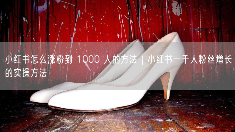 小红书怎么涨粉到 1000 人的方法｜小红书一千人粉丝增长的实操方法