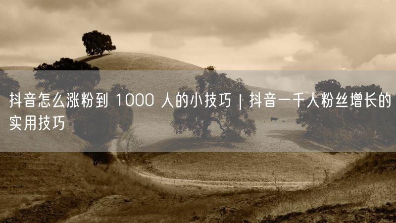 抖音怎么涨粉到 1000 人的小技巧｜抖音一千人粉丝增长的实用技巧