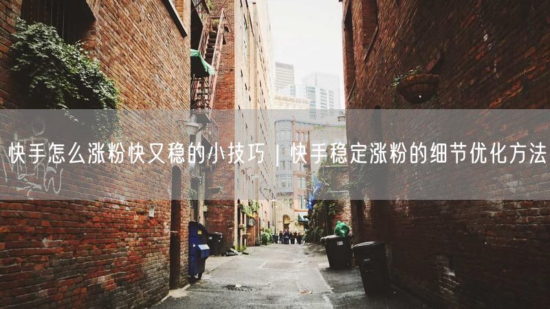快手怎么涨粉快又稳的小技巧｜快手稳定涨粉的细节优化方法