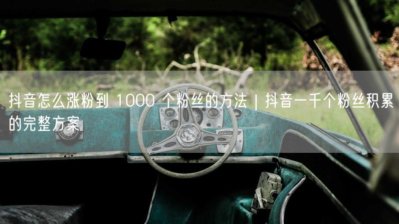抖音怎么涨粉到 1000 个粉丝的方法｜抖音一千个粉丝积累的完整方案