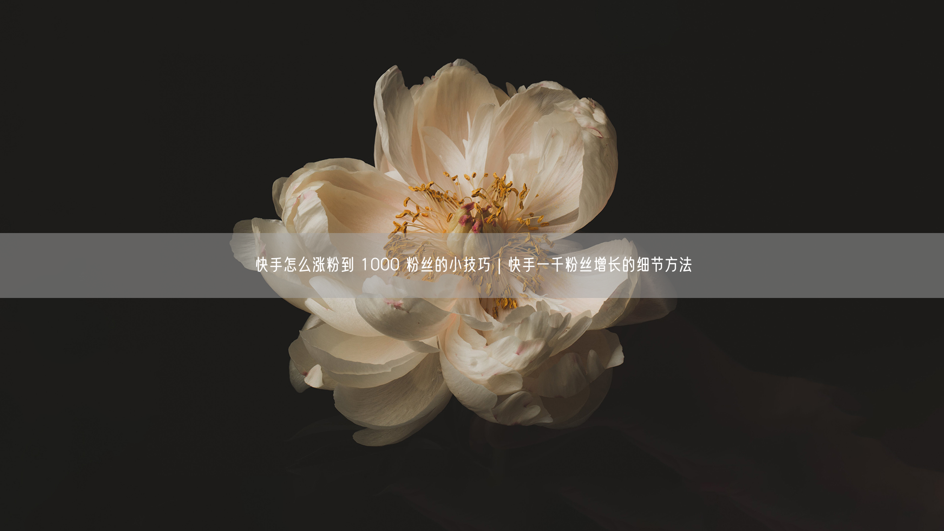 快手怎么涨粉到 1000 粉丝的小技巧｜快手一千粉丝增长的细节方法