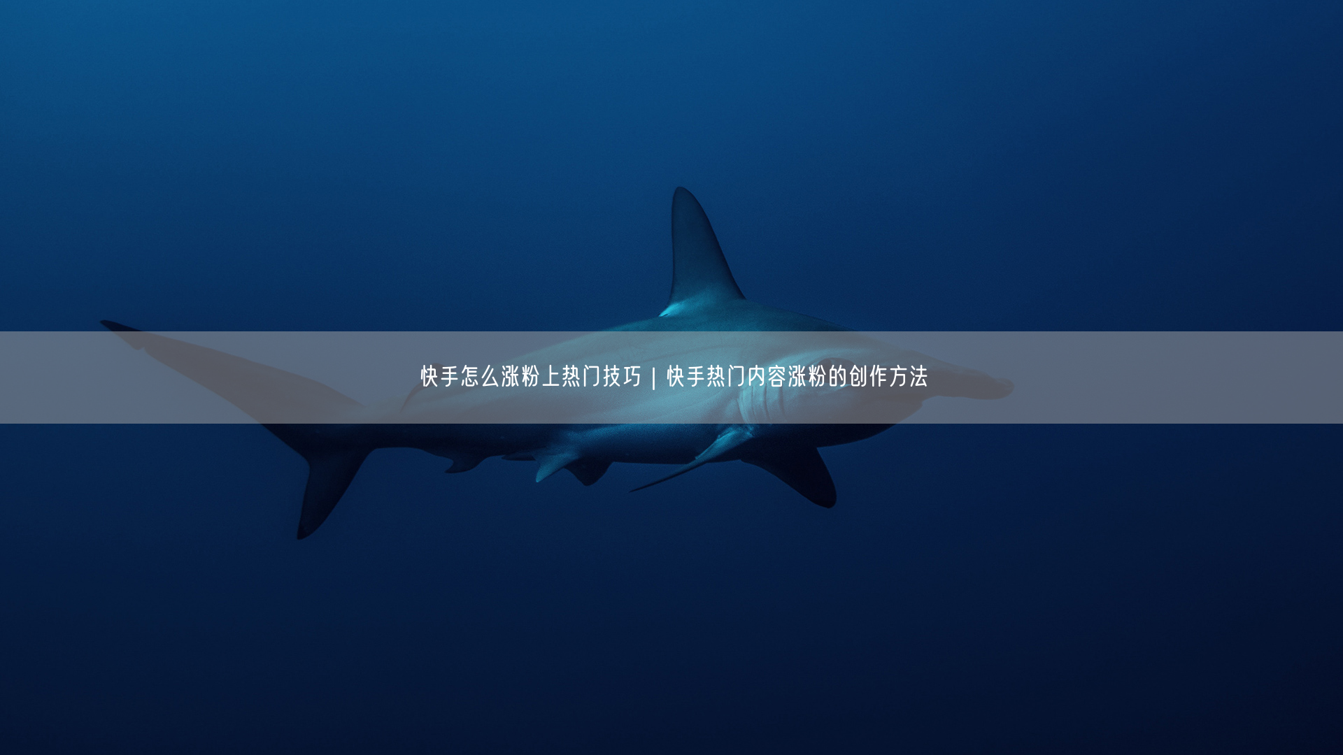 快手怎么涨粉上热门技巧｜快手热门内容涨粉的创作方法