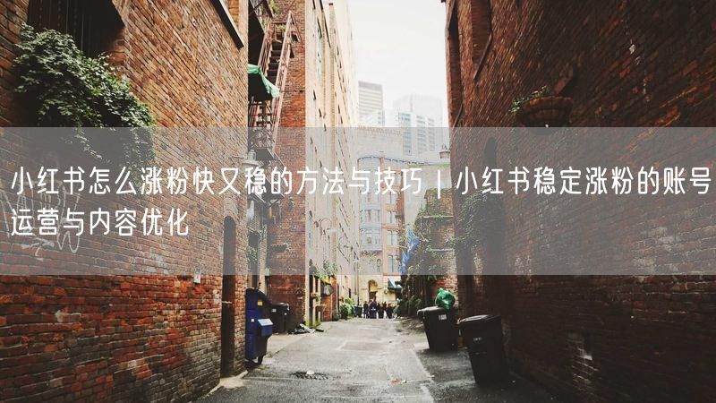 小红书怎么涨粉快又稳的方法与技巧｜小红书稳定涨粉的账号运营与内容优化