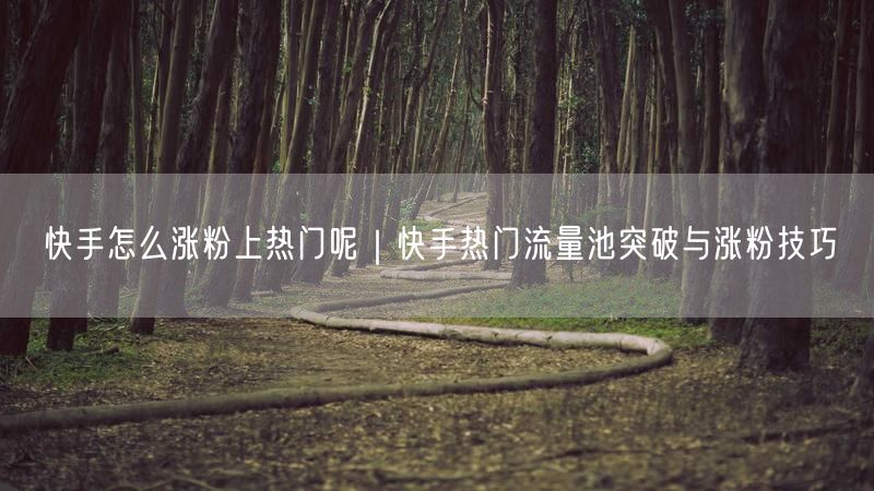 快手怎么涨粉上热门呢｜快手热门流量池突破与涨粉技巧