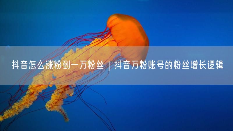 抖音怎么涨粉到一万粉丝｜抖音万粉账号的粉丝增长逻辑