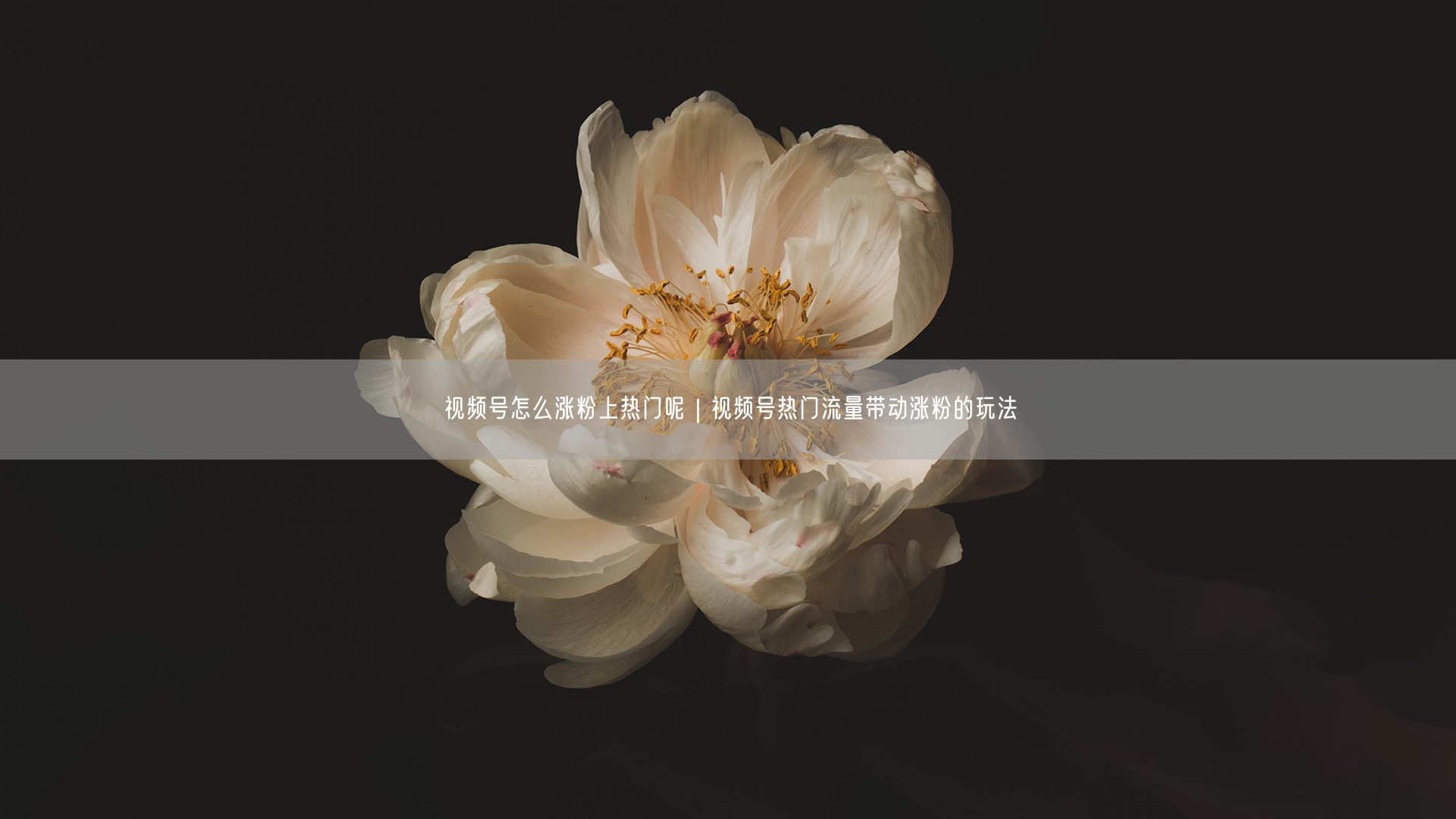视频号怎么涨粉上热门呢｜视频号热门流量带动涨粉的玩法