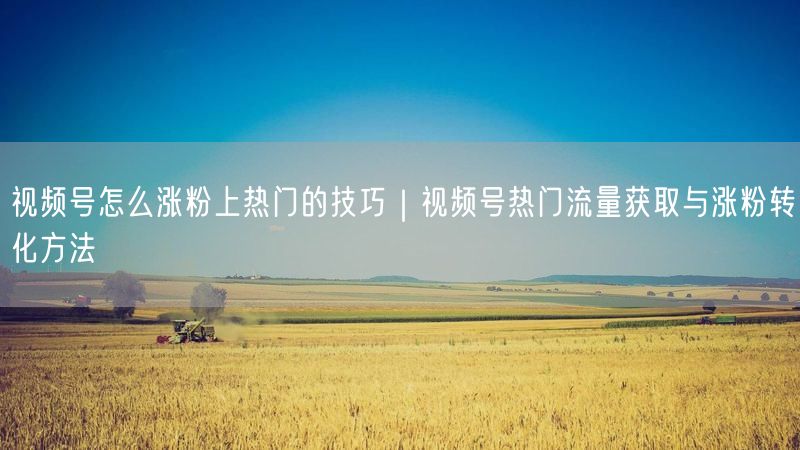 视频号怎么涨粉上热门的技巧｜视频号热门流量获取与涨粉转化方法
