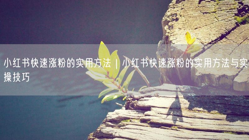 小红书快速涨粉的实用方法｜小红书快速涨粉的实用方法与实操技巧