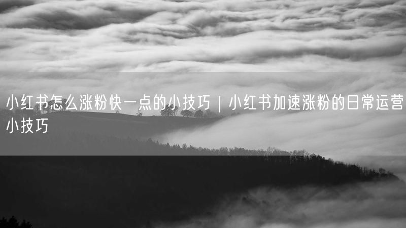 小红书怎么涨粉快一点的小技巧｜小红书加速涨粉的日常运营小技巧