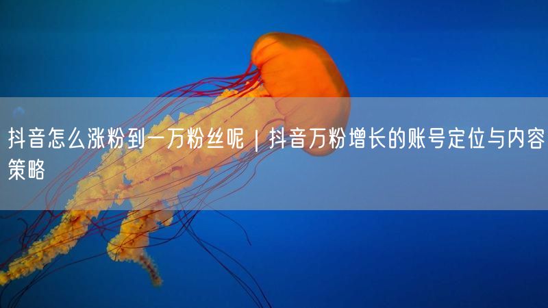 抖音怎么涨粉到一万粉丝呢｜抖音万粉增长的账号定位与内容策略