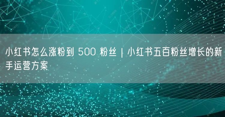 小红书怎么涨粉到 500 粉丝｜小红书五百粉丝增长的新手运营方案