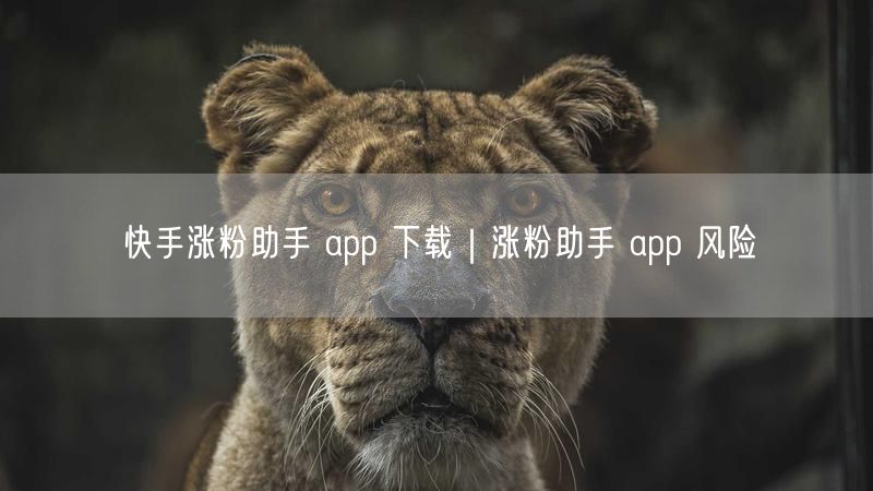 快手涨粉助手 app 下载｜涨粉助手 app 风险